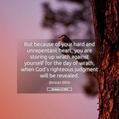 Picture 05 - Romans 2:5 BSB - But because of your hard and unrepentant heart, - Bible Verse Picture