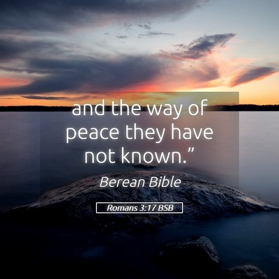 Picture 05 - Romans 3:17 BSB - and the way of peace they have not - Bible Verse Picture
