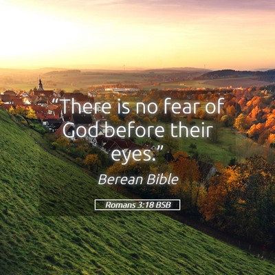 Picture 05 - Romans 3:18 BSB - “There is no fear of God before their - Bible Verse Picture