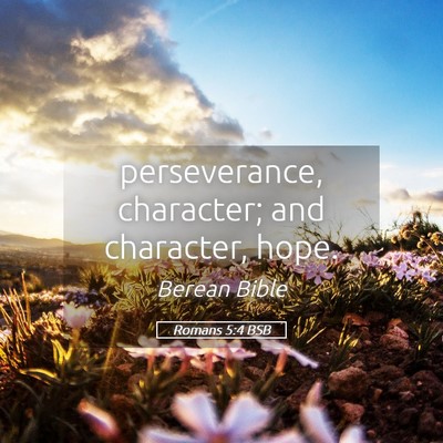 Picture 05 - Romans 5:4 BSB - perseverance, character; and character, - Bible Verse Picture