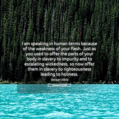 Picture 05 - Romans 6:19 BSB - I am speaking in human terms because of the - Bible Verse Picture