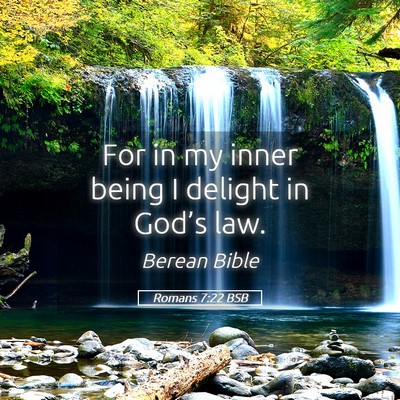 Picture 05 - Romans 7:22 BSB - For in my inner being I delight in God’s - Bible Verse Picture