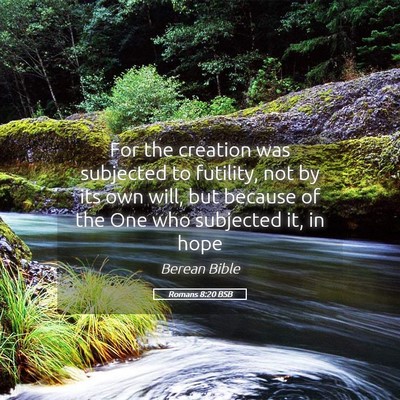 Picture 05 - Romans 8:20 BSB - For the creation was subjected to futility, not - Bible Verse Picture