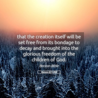 Picture 05 - Romans 8:21 BSB - that the creation itself will be set free from - Bible Verse Picture