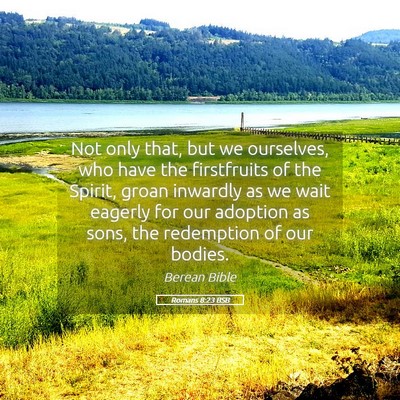 Picture 05 - Romans 8:23 BSB - Not only that, but we ourselves, who have the - Bible Verse Picture