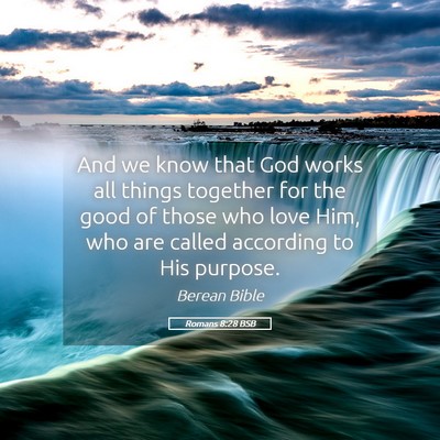 Picture 05 - Romans 8:28 BSB - And we know that God works all things together - Bible Verse Picture