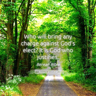 Picture 05 - Romans 8:33 BSB - Who will bring any charge against God’s elect? - Bible Verse Picture