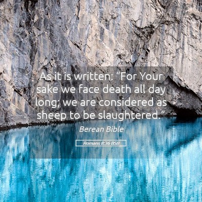 Picture 05 - Romans 8:36 BSB - As it is written: “For Your sake we face death - Bible Verse Picture
