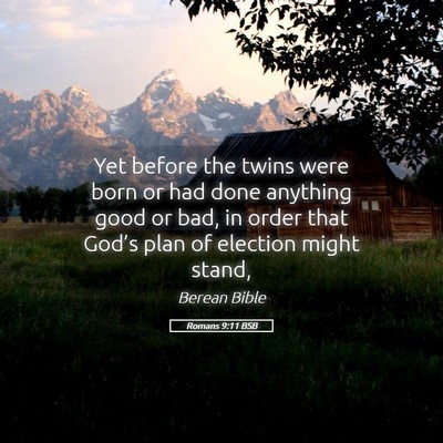 Picture 05 - Romans 9:11 BSB - Yet before the twins were born or had done - Bible Verse Picture