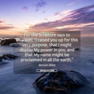Picture 05 - Romans 9:17 BSB - For the Scripture says to Pharaoh: “I raised - Bible Verse Picture