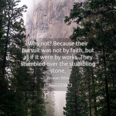 Picture 05 - Romans 9:32 BSB - Why not? Because their pursuit was not by faith, - Bible Verse Picture