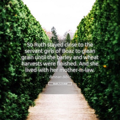 Picture 05 - Ruth 2:23 BSB - So Ruth stayed close to the servant girls of Boaz - Bible Verse Picture