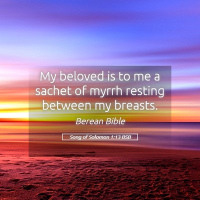 Picture 05 - Song of Solomon 1:13 BSB - My beloved is to me a sachet of myrrh resting - Bible Verse Picture