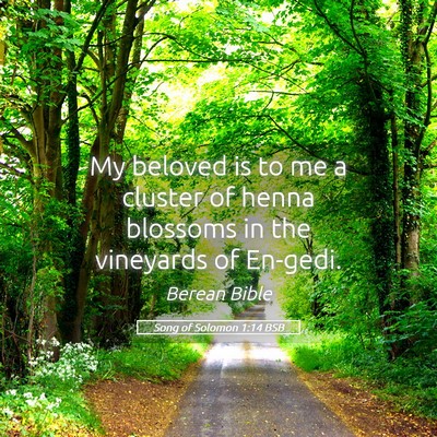 Picture 05 - Song of Solomon 1:14 BSB - My beloved is to me a cluster of henna blossoms - Bible Verse Picture