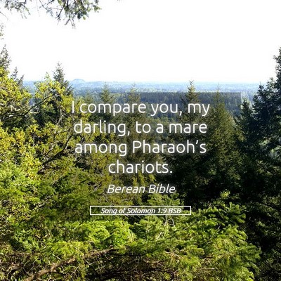 Picture 05 - Song of Solomon 1:9 BSB - I compare you, my darling, to a mare among - Bible Verse Picture