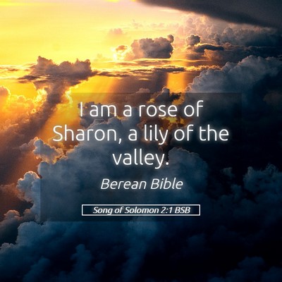 Picture 05 - Song of Solomon 2:1 BSB - I am a rose of Sharon, a lily of the - Bible Verse Picture