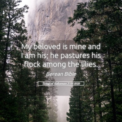 Picture 05 - Song of Solomon 2:16 BSB - My beloved is mine and I am his; he pastures his - Bible Verse Picture