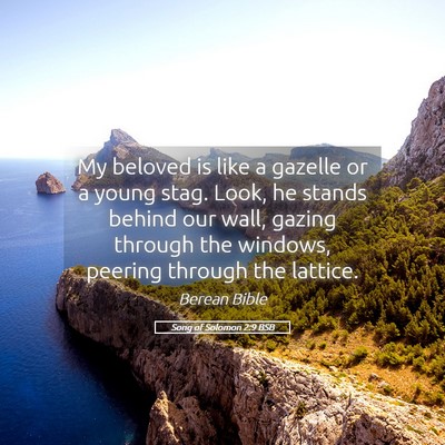 Picture 05 - Song of Solomon 2:9 BSB - My beloved is like a gazelle or a young stag. - Bible Verse Picture