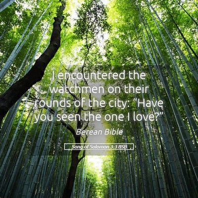 Picture 05 - Song of Solomon 3:3 BSB - I encountered the watchmen on their rounds of the - Bible Verse Picture