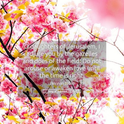 Picture 05 - Song of Solomon 3:5 BSB - O daughters of Jerusalem, I adjure you by the - Bible Verse Picture