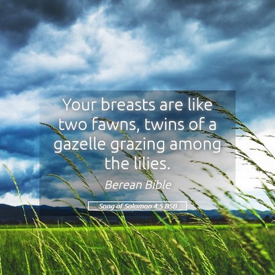Picture 05 - Song of Solomon 4:5 BSB - Your breasts are like two fawns, twins of a - Bible Verse Picture