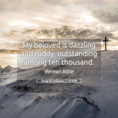 Picture 05 - Song of Solomon 5:10 BSB - My beloved is dazzling and ruddy, outstanding - Bible Verse Picture
