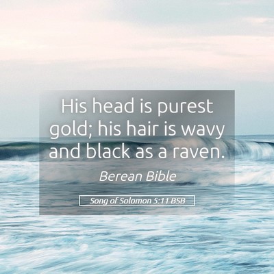Picture 05 - Song of Solomon 5:11 BSB - His head is purest gold; his hair is wavy and - Bible Verse Picture