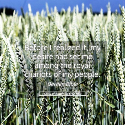 Picture 05 - Song of Solomon 6:12 BSB - Before I realized it, my desire had set me among - Bible Verse Picture