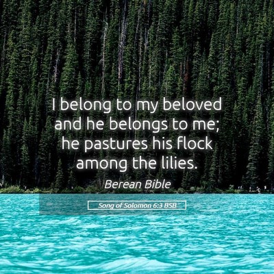 Picture 05 - Song of Solomon 6:3 BSB - I belong to my beloved and he belongs to me; he - Bible Verse Picture