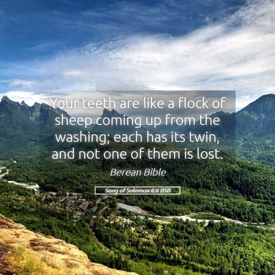 Picture 05 - Song of Solomon 6:6 BSB - Your teeth are like a flock of sheep coming up - Bible Verse Picture