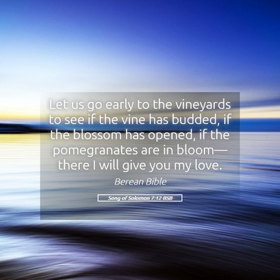 Picture 05 - Song of Solomon 7:12 BSB - Let us go early to the vineyards to see if the - Bible Verse Picture