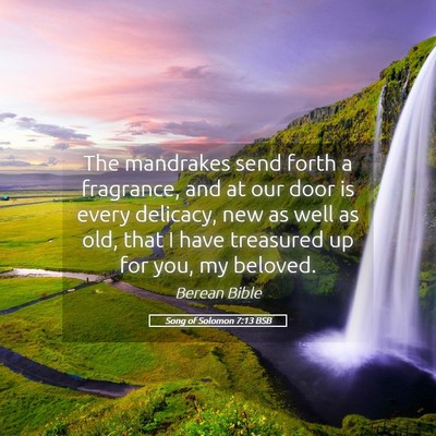 Picture 05 - Song of Solomon 7:13 BSB - The mandrakes send forth a fragrance, and at our - Bible Verse Picture