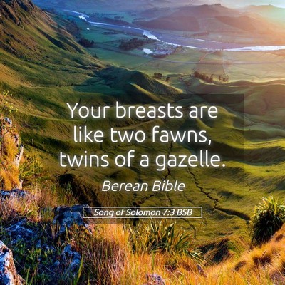Picture 05 - Song of Solomon 7:3 BSB - Your breasts are like two fawns, twins of a - Bible Verse Picture