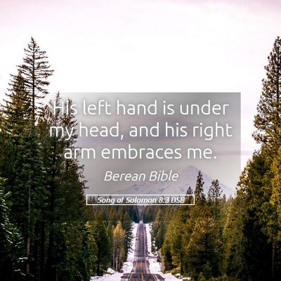 Picture 05 - Song of Solomon 8:3 BSB - His left hand is under my head, and his right arm - Bible Verse Picture