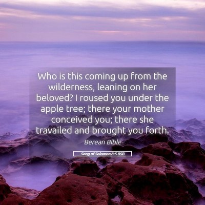 Picture 05 - Song of Solomon 8:5 BSB - Who is this coming up from the wilderness, - Bible Verse Picture