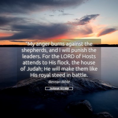 Picture 05 - Zechariah 10:3 BSB - “My anger burns against the shepherds, and I - Bible Verse Picture