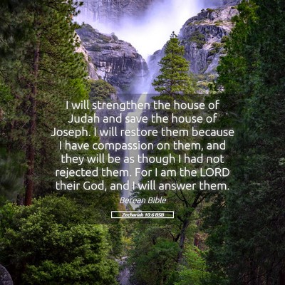 Picture 05 - Zechariah 10:6 BSB - I will strengthen the house of Judah and save the - Bible Verse Picture
