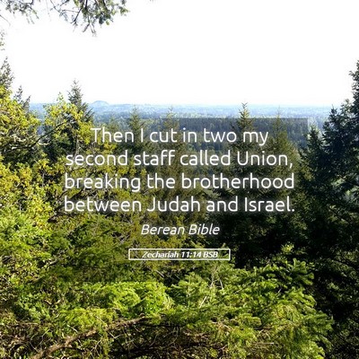 Picture 05 - Zechariah 11:14 BSB - Then I cut in two my second staff called Union, - Bible Verse Picture