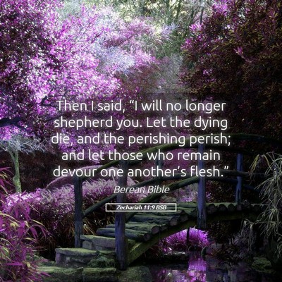 Picture 05 - Zechariah 11:9 BSB - Then I said, “I will no longer shepherd you. - Bible Verse Picture