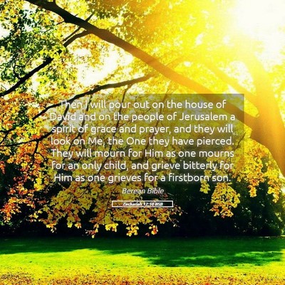 Picture 05 - Zechariah 12:10 BSB - Then I will pour out on the house of David and on - Bible Verse Picture