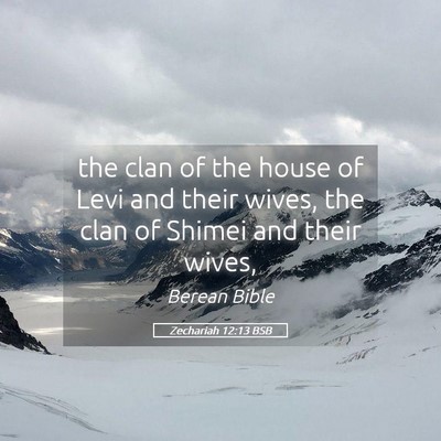 Picture 05 - Zechariah 12:13 BSB - the clan of the house of Levi and their wives, - Bible Verse Picture