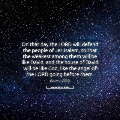 Picture 05 - Zechariah 12:8 BSB - On that day the LORD will defend the people of - Bible Verse Picture