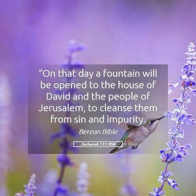 Picture 05 - Zechariah 13:1 BSB - “On that day a fountain will be opened to the - Bible Verse Picture