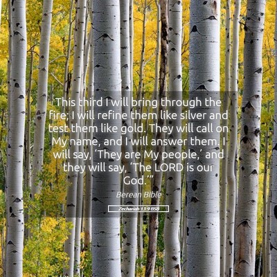 Picture 05 - Zechariah 13:9 BSB - This third I will bring through the fire; I will - Bible Verse Picture