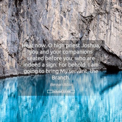 Picture 05 - Zechariah 3:8 BSB - Hear now, O high priest Joshua, you and your - Bible Verse Picture