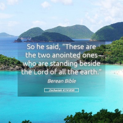 Picture 05 - Zechariah 4:14 BSB - So he said, “These are the two anointed ones - Bible Verse Picture