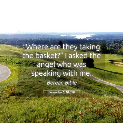 Picture 05 - Zechariah 5:10 BSB - “Where are they taking the basket?” I asked - Bible Verse Picture