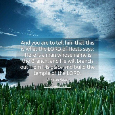 Picture 05 - Zechariah 6:12 BSB - And you are to tell him that this is what the - Bible Verse Picture