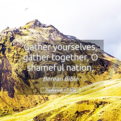 Picture 05 - Zephaniah 2:1 BSB - Gather yourselves, gather together, O shameful - Bible Verse Picture