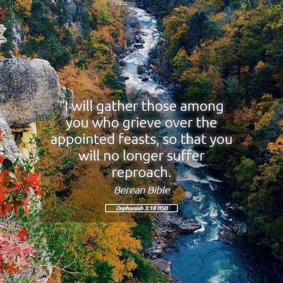 Picture 05 - Zephaniah 3:18 BSB - “I will gather those among you who grieve over - Bible Verse Picture